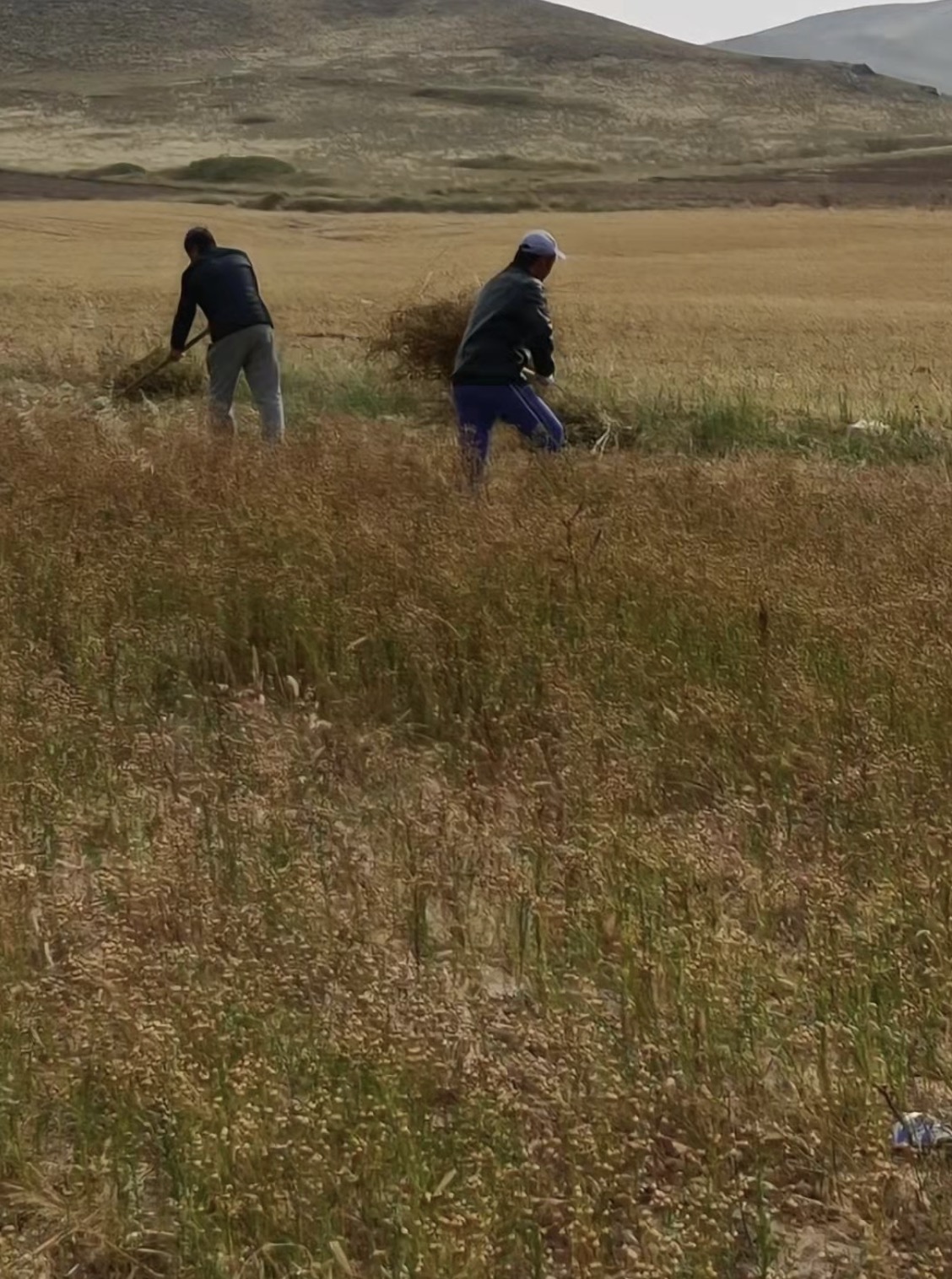 �ڲ���tbh��(�й���)����Ϊ���ٷ���վ